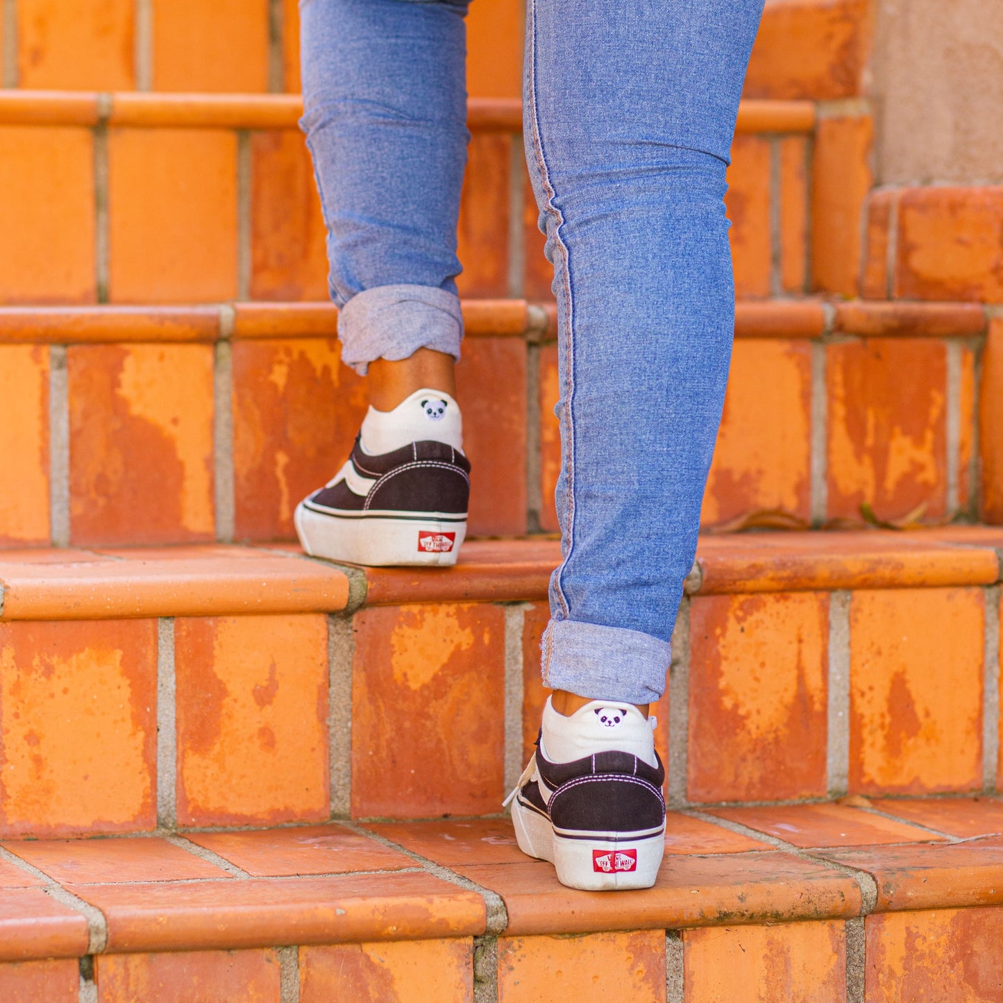 Meias Panda - 5 pares